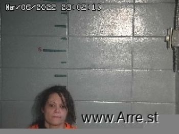 Jamie Lynn Chapman Mugshot