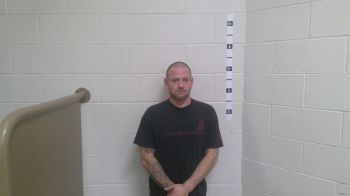 Jamie Lee Freeland Mugshot