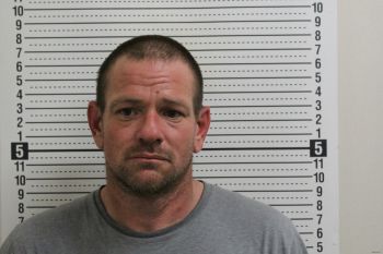 Jamie L Freeland Mugshot