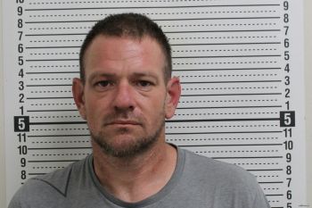 Jamie Lee Freeland Mugshot