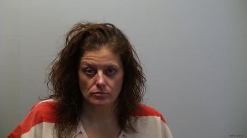 Jamie Lou Johnson Mugshot