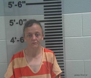 Jamie Lynn Skidmore Mugshot