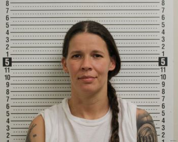 Jamie L Watson Mugshot