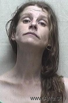 Janna L Johnson Mugshot