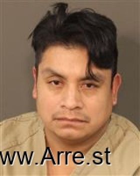 Javier  Gallegos-cruz Mugshot