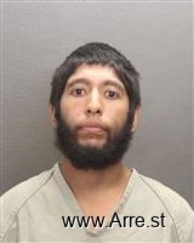 Javier  Medina-gonzalez Mugshot