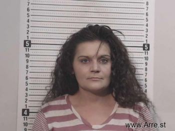 Jenna Leigh Holsinger Mugshot