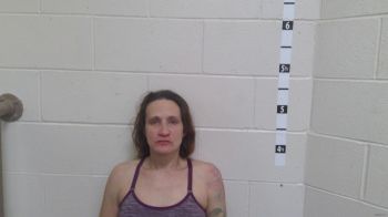 Jennifer Lee Downing Mugshot