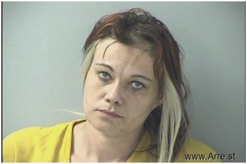 Jessica Lynn Collins Mugshot