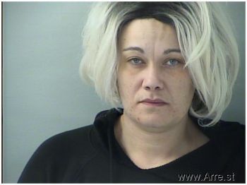 Jessica Lynn Collins Mugshot