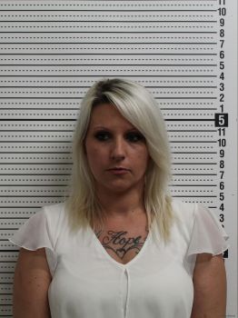 Jessica J Lee Mugshot