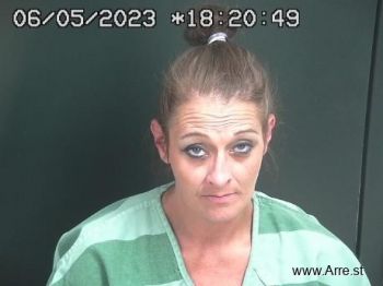 Jessica Marie Phillips Mugshot