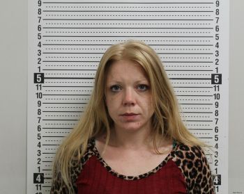 Jessica Ann Sikes Mugshot