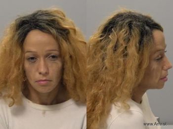 Jessica Marie Sullivan Mugshot