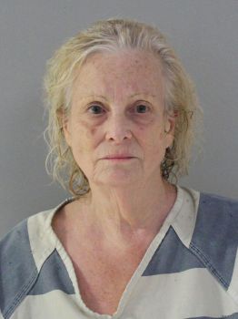 Joan Carol Lipin Mugshot