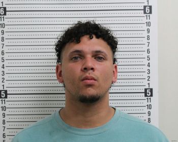 Jordan Michael Johnson Mugshot