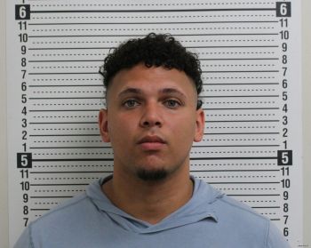 Jordan Michael Johnson Mugshot