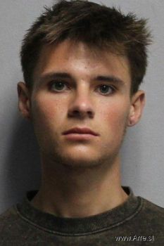 Joshua Tanner Rains Mugshot