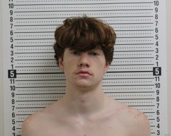 Joshua Allen Reed Mugshot