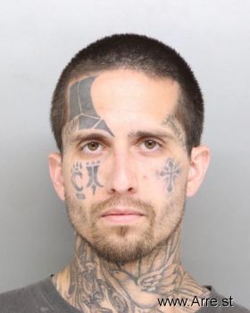 Joshua  Stein Mugshot