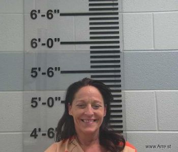 Joy Ann Cook Mugshot