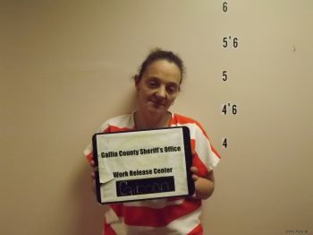 Joyce  Gibson Mugshot