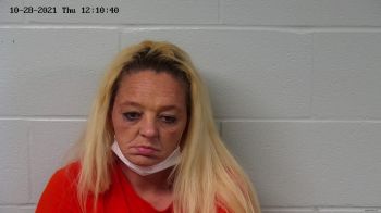 Joyce Ann Gibson Mugshot