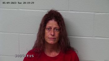 Julia Frazier Hayslip Lauer Mugshot