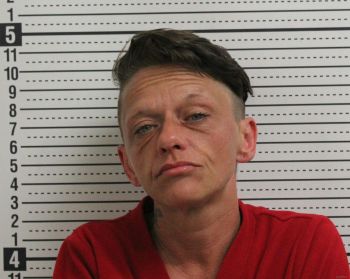 Julia Kay Thomas Mugshot