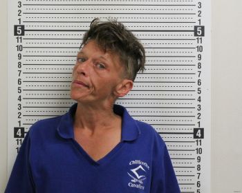 Julia Kay Thomas Mugshot