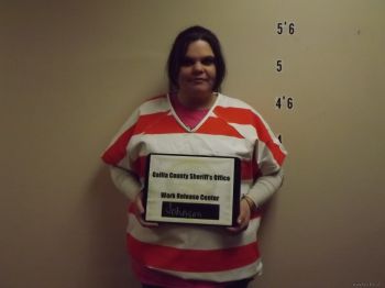 Julie  Johnson Mugshot