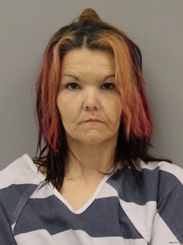 Julie M Wagers Mugshot