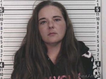 Julie A Williams Mugshot