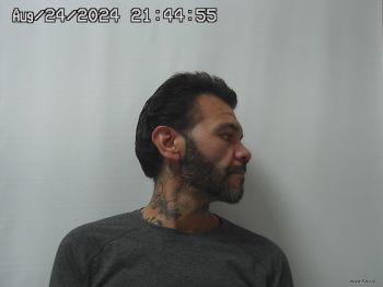 Julio  Villalobos Mugshot