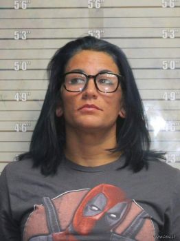 Kady Noel Weaver Mugshot