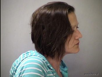 Kara Lousie Rodgers Mugshot