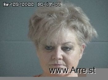 Karen Sue Cox Mugshot