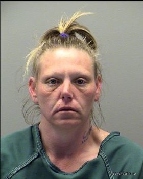 Karen Sue Johnson Mugshot