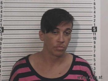 Karen L Neace Mugshot