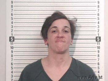 Karen L Neace Mugshot