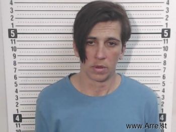 Karen L Neace Mugshot