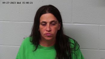 Karen Lynn Neace Mugshot