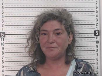 Kari Kristine Simmons Mugshot