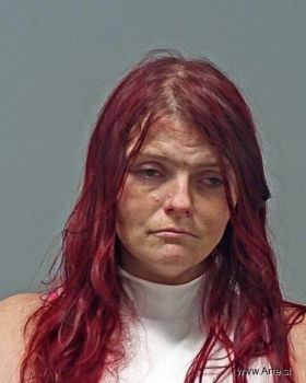 Karlin Suzann Wilson Mugshot