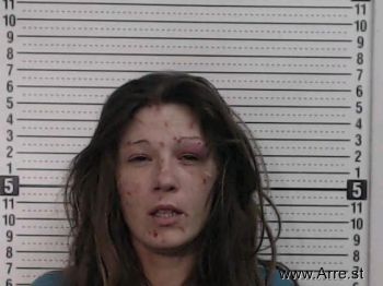 Kasey C Birchum Mugshot