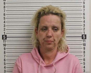 Kelly Jo Adams Mugshot