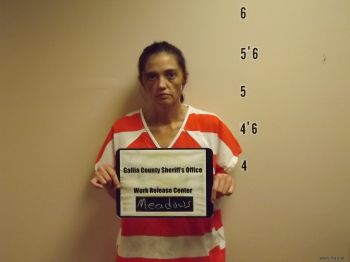 Kimberly  Meadows Mugshot