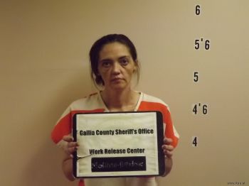 Kimberly  Molihan-meadows Mugshot