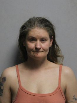 Kristie Renee Haynes Mugshot