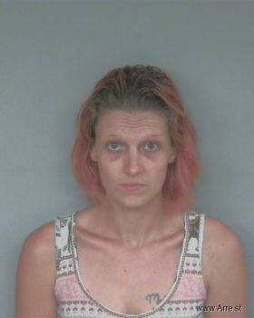 Kylee Ginger Holbrook Mugshot